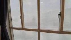 Orchard Scotts (D9), Condominium #454879771